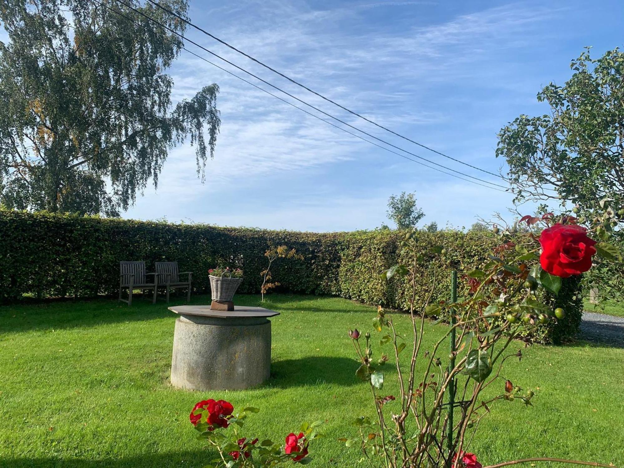 Pretty Farmhouse In Houffalize With Courtyard Екстериор снимка